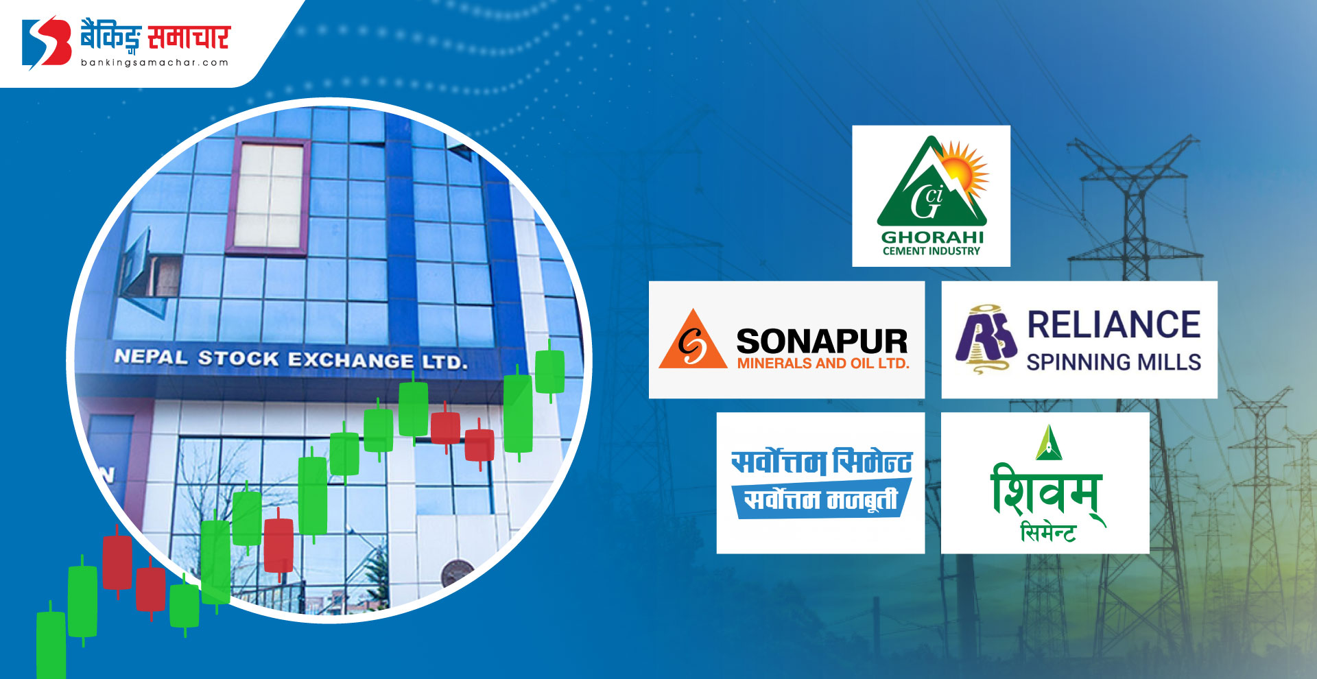 नेप्सेमा सूचीकृत ५ उद्योगले तिरे बिजुलीको बक्यौता, कुनले कति ?