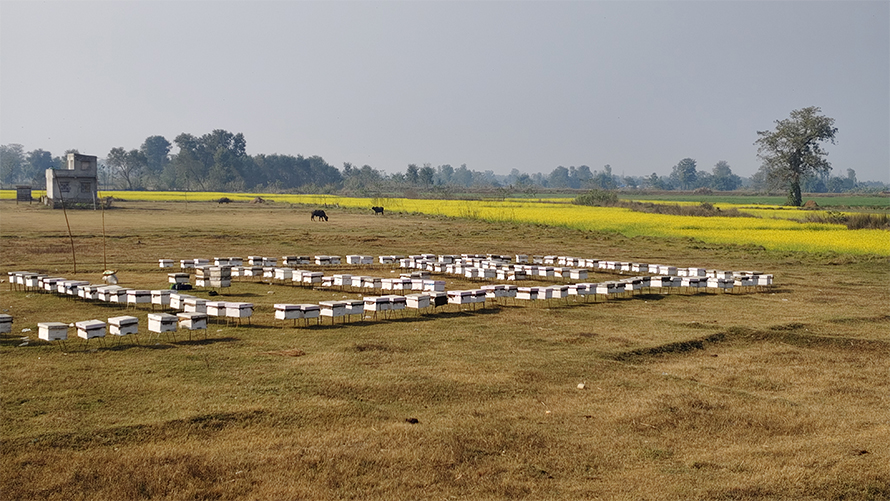 महबाटै करोडको कारोबार गर्छन् दाङका विनोद हमाल